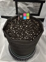 IMG_3024.JPG