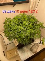 IMG_3326.jpeg