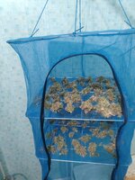 IMG_20260317_005945.jpg