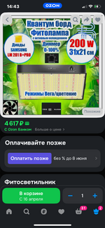 IMG_0908.png