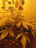 IMG_20260325_092848.jpg