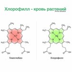 IMG_0432.jpeg IMG_0432.jpeg