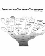 IMG_0435.jpeg