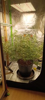 IMG_20260418_075121.jpg