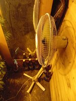 IMG_20260422_162020.jpg