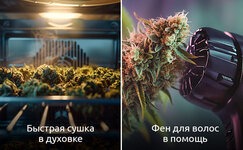 Sposoby-vysushit-promokshie-shishki-bystro__ScY6gTJy8YDgOiJC.jpg