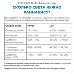 62490.jpg 62490.jpg