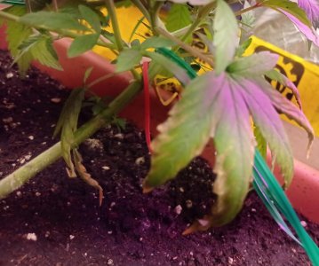 upload_2022_06_21_17_48_39_988.jpg