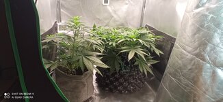 IMG_0027.jpeg