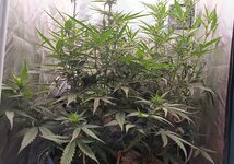 IMG_20261005_013521.jpg