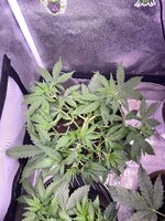 IMG_6934.jpeg