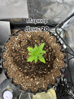 7AF800AE-E9F9-4EF4-BB38-B86F6A0A26DB.jpeg