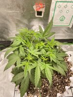 IMG_4834.jpeg
