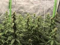IMG_20261026_175501.jpg