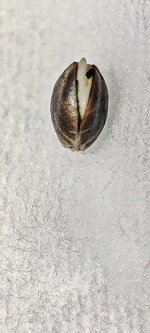 IMG_20261027_121549.jpg