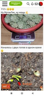 Screenshot_2026-10-28-03-50-41-429-edit_ru.semena.sch.jpg
