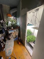 IMG_5887.jpeg