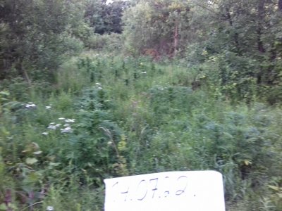 20160522_074201.jpg 20160522_074201.jpg