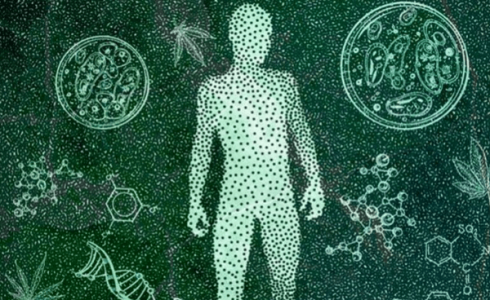1663622061282.png