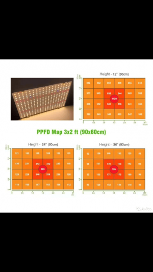 EC245797-2A35-4B53-9D69-6647D6BB2EBF.png