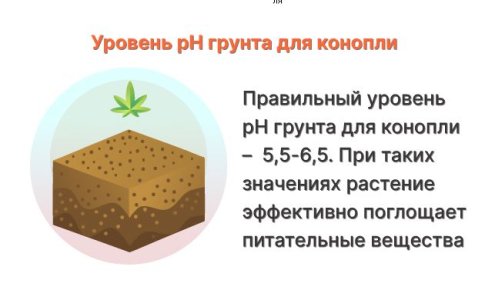 Неблагоприятный уровень pH субстрата или грунта для конопли Неблагоприятный уровень pH субстрата или грунта для конопли