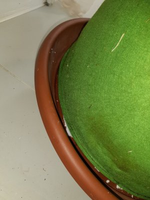 20221026_090824.jpg