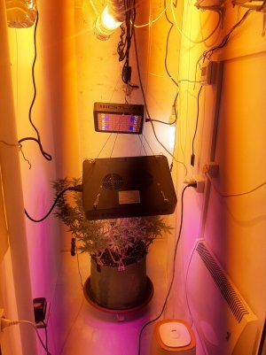 20221030_091718.jpg