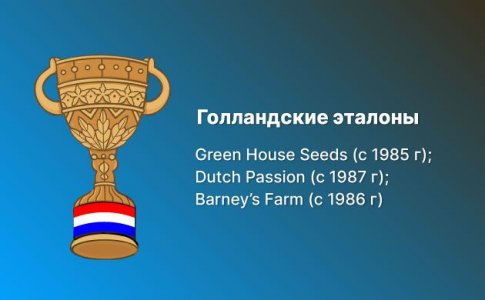 Голландские сидбанки