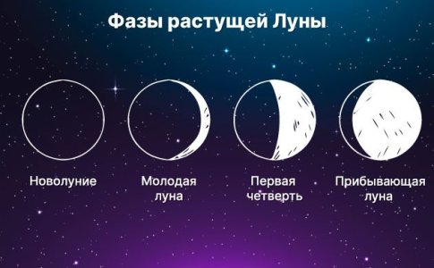 Фазы Луны и выращивание конопли Фазы Луны и выращивание конопли