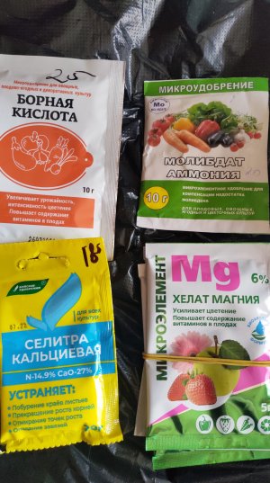 P30120-110427.jpg