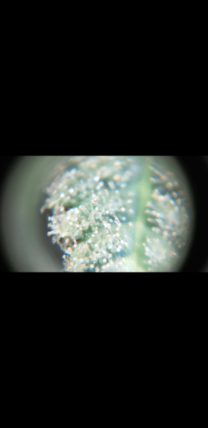 S30311-103620.png