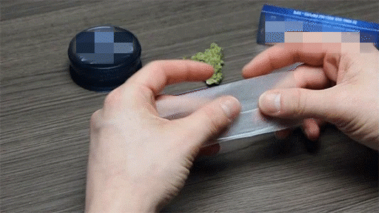 1.gif 1.gif