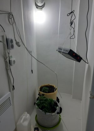 20230501_112134.jpg