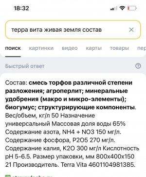 IMG_6670.jpeg