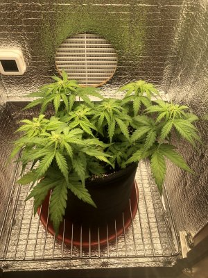 IMG_0216.jpeg