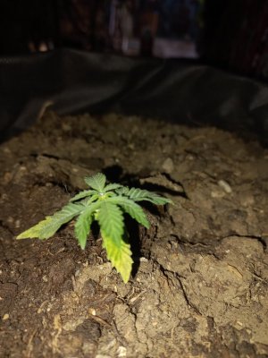 20230711_183948.jpg