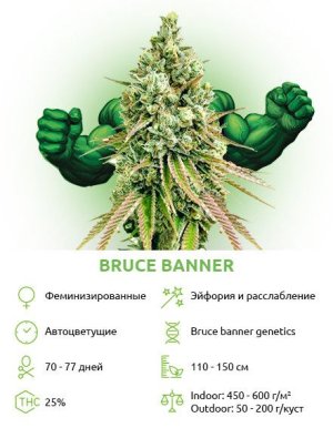 bruce-banner__7pbNqPKfEw92YdtW.jpg bruce-banner__7pbNqPKfEw92YdtW.jpg