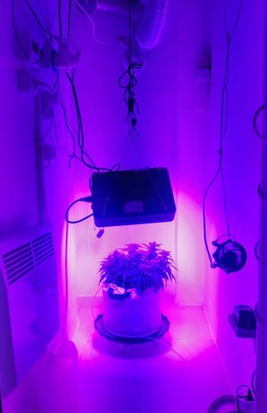 20230814_224927.jpg