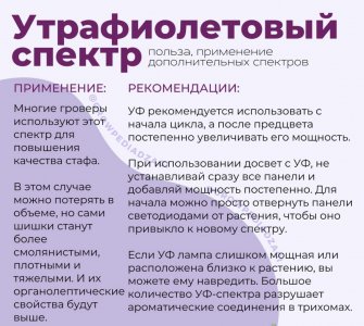 14E0C221-E89C-409A-90F8-80B9686310B9.jpeg 14E0C221-E89C-409A-90F8-80B9686310B9.jpeg