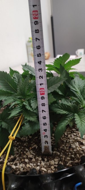 1000007279.jpg
