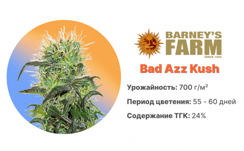 Bad Azz Kush Bad Azz Kush