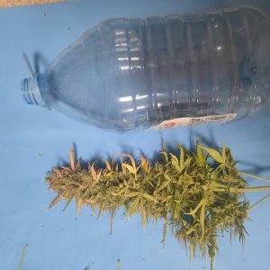 IMG20240304102749.jpg