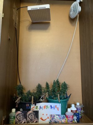 IMG_0657.jpeg