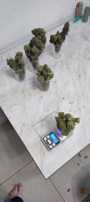 1000009949.jpg
