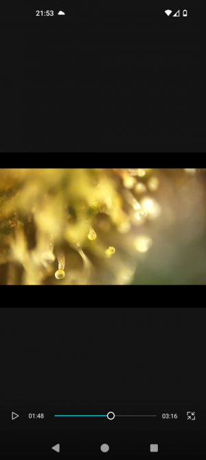 Screenshot_20240509-215317.png