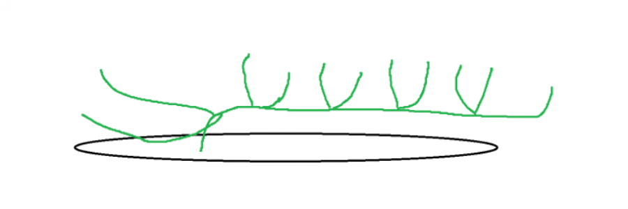 1715867594582.png