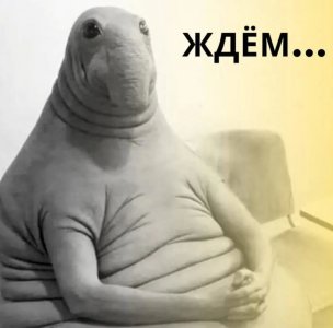 IMG_8729.jpeg